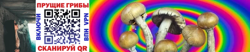 OMG онион  Калязин  Псилоцибиновые грибы Psilocybine cubensis  как найти наркотики 